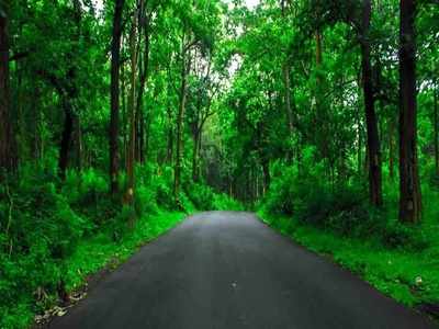 കൊവിഡിനെ പുറത്ത് നിര്‍ത്തി കേരളത്തിലെ ഈ ഗ്രാമം; ഉര്‍വശീശാപം ഉപകാരമായെന്ന് നാട്ടുകാര്‍