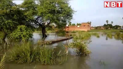 Bihar Elections 2020: गांव को तालाब बनाकर रख छोड़ा है... नहीं देंगे वोट... भोजपुर के ग्रामीणों का एलान