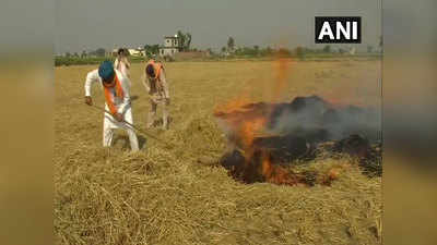 पंजाबः खेतों में पराली जलाने को मजबूर किसान, बोले- सरकार मुआवजा देने को राजी नहीं, हम क्या करें?