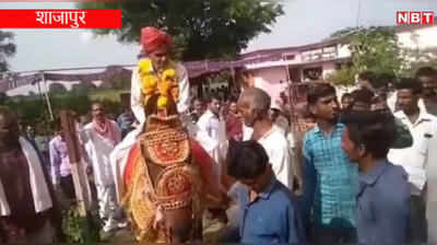 शाजापुरः रिटायरमेंट पर शिक्षक को घोड़े पर बैठाकर ग्रामीणों ने दी विदाई, सोशल डिस्टेंसिंग को भूले