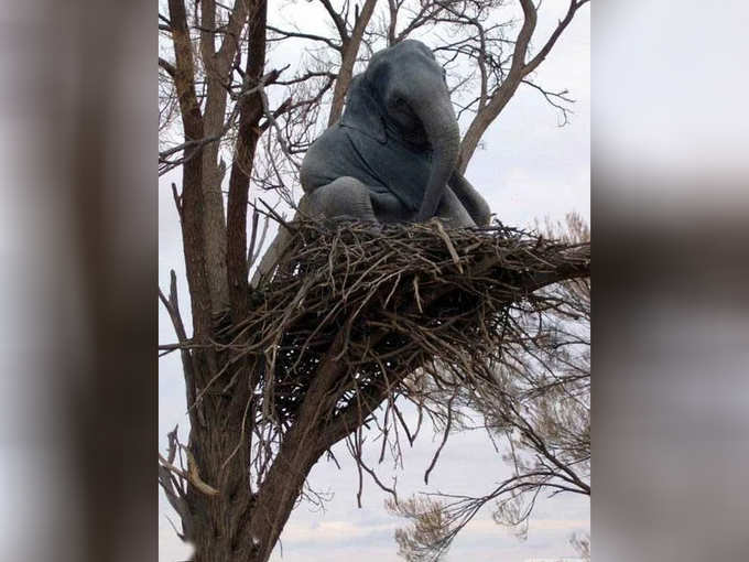 आखिर पहुंचा तो पहुंचा कैसे...