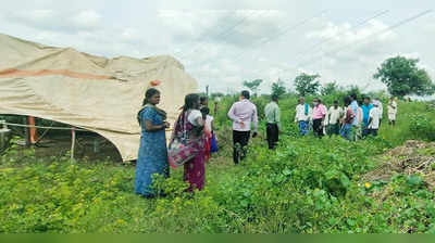 ಶಿಗ್ಗಾವಿ: ದಿಢೀರ್‌ ತಲೆ ಎತ್ತಿದ ಗುಡಿಸಲು