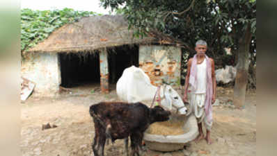 ಕೈ ಹಿಡಿಯದ ‘ಪಶುಭಾಗ್ಯ’