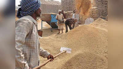 MSP पर धान खरीदने के लिए 41084 किसानों को 1082 करोड़ रुपये का भुगतान