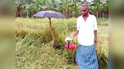 കാട്ടുപന്നികളുടെ ശ്രദ്ധയ്ക്ക്... വയലില്‍ പാട്ടുണ്ട്!!കൃഷിസംരക്ഷിക്കാന്‍ മാസ് ഐഡിയയുമായി കർഷകർ!