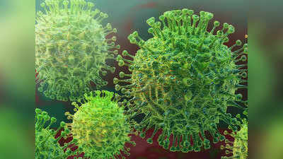 Coronavirus updates मानवी त्वचेवर इतके तास असतो करोनाचा विषाणू!