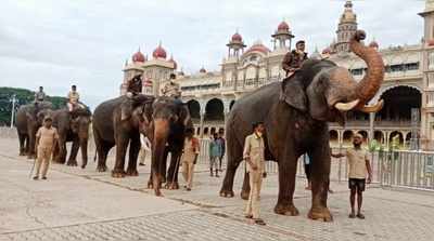 ದಸರಾ ಗಜಪಡೆಯ  ಮಾವುತರು, ಕಾವಾಡಿಗಳಿಗೆ ಪ್ರತಿನಿತ್ಯ ಭೂರಿ ಭೋಜನ!