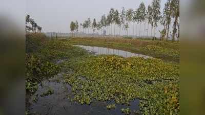 নদী বাঁচাতে জোট বেঁধে চলার ডাক