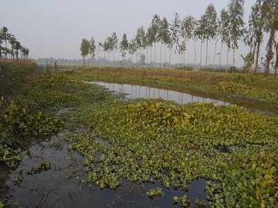 নদী বাঁচাতে জোট বেঁধে চলার ডাক