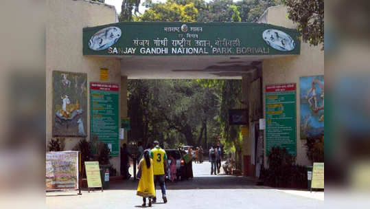 National Park: मुंबईतील नॅशनल पार्कात खासगी वाहनबंदी