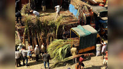ऊस उत्पादक शेतकऱ्यांचे तोंड गोड! सरकारच्या दट्ट्याने साखर कारखाने ताळ्यावर
