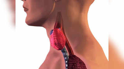 Food For Thyroid Patients: थायरॉइड के मरीजों को खाना चाहिए ऐसा भोजन, प्राकृतिक रूप से नियंत्रित रहेगी बीमारी