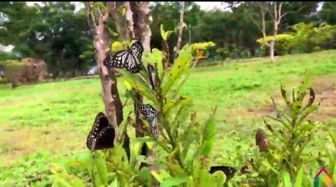 Kottakkunnu Tourism