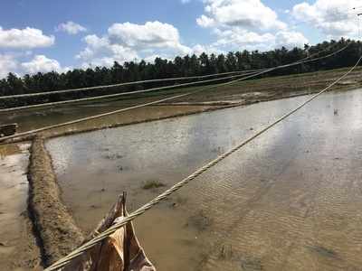 പരാതി നല്‍കിയിട്ട് ഒരു വര്‍ഷം... കെഎസ്ഇബി കണ്ണു തുറന്നു, പക്ഷേ പകരം കൊടുക്കേണ്ടി വന്നത് ഒരു കര്‍ഷകന്‍റെ ജീവന്‍