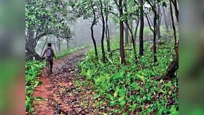 ಪಿಕ್‌ನಿಕ್‌ ಸೋಗಿನಲ್ಲಿ ಅನಪೇಕ್ಷಿತ ಚಟುವಟಿಕೆ: ಮುಂಡಾಜೆಯ ಸೀಟು ಕಾಡು ರಸ್ತೆಯಲ್ಲಿ ಸಾರ್ವಜನಿಕ ನೆಮ್ಮದಿ ಭಂಗ