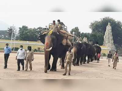 ಮೈಸೂರು ಅರಮನೆ ಆವರಣದಲ್ಲಿ ದಸರಾ ಗಜಪಡೆಗೆ ಭಾರ ಹೊರುವ ತಾಲೀಮು