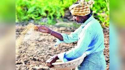 ಕೀಟಗಳ ಹಾವಳಿ ತಡೆಗೆ ಕೃಷಿ ಇಲಾಖೆ ಸನ್ನದ್ಧ: ರೈತರಿಗೆ ಅರಿವು ಮೂಡಿಸಲು ಮುಂದಾದ ಅಧಿಕಾರಿಗಳು