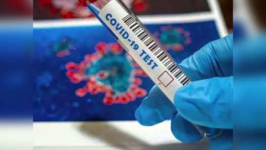 Coronavirus: राज्याने ओलांडला १५ लाखांचा टप्पा; करोनामुक्तांचा टक्काही वाढतोय