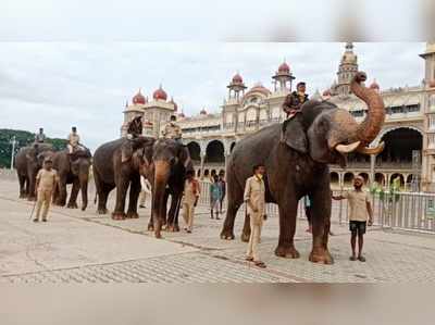 ಈ ಬಾರಿ ಮೈಸೂರು ದಸರಾ ಉದ್ಘಾಟನೆ ಯಾರಿಂದ? ಸರಕಾರ ಇವರನ್ನು ಆಯ್ಕೆ ಮಾಡಿದೆ!