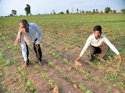 इस साल किसानों के आए अच्छे दिन, सितंबर में 82 फीसदी बढ़ा कृषि उत्पादों का निर्यात