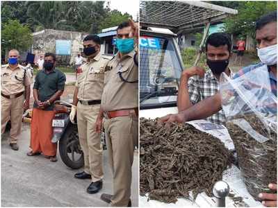 6 കിലോ കഞ്ചാവുമായി വാളയാറിൽ യുവാവ് പിടിയിൽ; രഹസ്യവിവരത്തെ തുടർന്നായിരുന്നു പരിശോധന