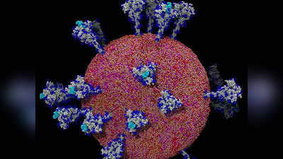Coronavirus असा दिसतो करोनाचा विषाणू; लस विकसित होण्यास मदत होणार!