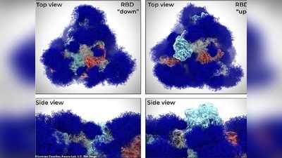 દુનિયા સામે પહેલીવાર આવી કોરોના વાયરસની તસવીર, હવે રસીની શોધ થશે પૂર્ણ!