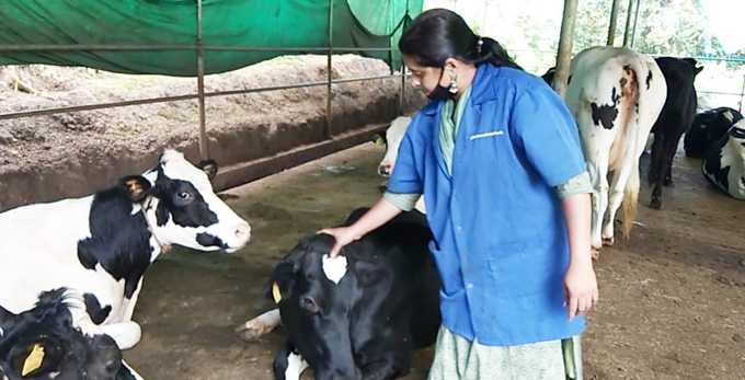 ​ജില്ലയിൽ ഏറ്റവും അധികം ക്ഷീരകർഷകർ മുള്ളൻകൊല്ലിയിൽ