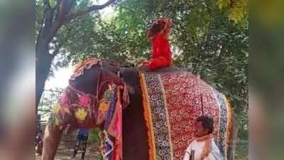 হাতির পিঠে উঠে যোগ শেখাচ্ছিলেন রামদেব, তারপর কী অবস্থা হল জানেন? দেখুন...