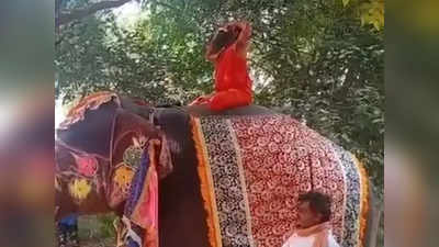 रामदेव बाबा हत्तीवरून पडले, सोशल मीडियावर रंगली चर्चा