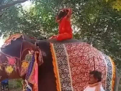 रामदेव बाबा हत्तीवरून पडले, सोशल मीडियावर रंगली चर्चा