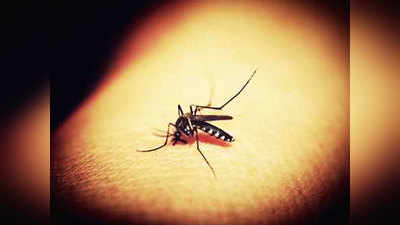 जान के जोखिम से बचें, शरीर में दिख रहे इन 5 बदलावों से पहचानें डेंगू का संक्रमण