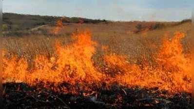 Sitapur News: सेटेलाइट ने पकड़ी पराली जलाने की घटना, डीएम के आदेश पर दो किसानों पर होगा मुकदमा