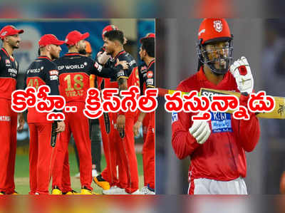 RCB కాచుకో..! షార్జాలో మ్యాచ్‌కి క్రిస్‌గేల్ వచ్చేస్తున్నాడు