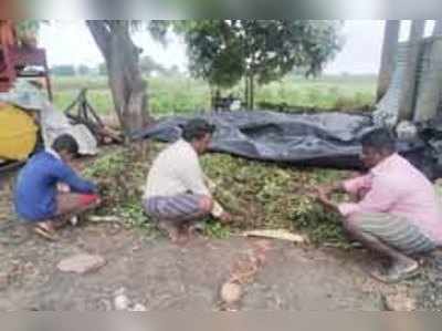 ಬೆಳೆಯೂ ಇಲ್ಲ.. ದರವೂ ಇಲ್ಲ