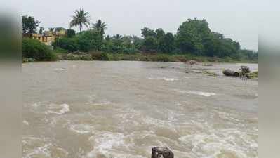 परतीच्या पावसानं शेतकरी हवालदिल; सांगली, कोल्हापूरात संततधार