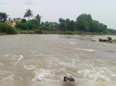 परतीच्या पावसानं शेतकरी हवालदिल; सांगली, कोल्हापूरात संततधार