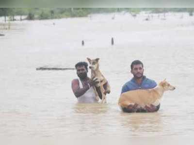 ಕಲಬುರಗಿಯಲ್ಲಿ ರೆಡ್‌ ಅಲರ್ಟ್‌: 48 ಕಾಳಜಿ ಕೇಂದ್ರ ಸ್ಥಾಪನೆ, ಸುರಿಯುತ್ತಲೇ ಇದೆ ಮಳೆ!