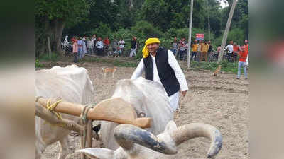 सपा नेता का सियासी जन्मदिन: मंदिर में टेका माथा... मजार पर चढ़ाई चादर... और खेत में हल चला उठाया किसानों का मुद्दा