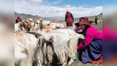 लद्दाख में भारत से तनाव के बीच चीन ने माना, तिब्बत में हटाए जा रहे हैं स्थानीय लोग