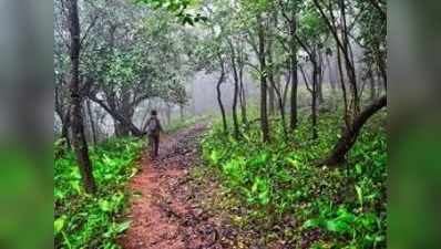 ಹಿಟಾಚಿ ಯಂತ್ರ ಬಳಸಿ ಪರಿಸರಕ್ಕೆ ಹಾನಿ: ಕಾರಣಗಿರಿಯಲ್ಲಿ ಗ್ರಾಮಸ್ಥರ ಆಕ್ರೋಶ!