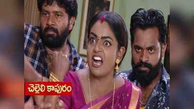 Premi Viswanath: వంటలక్క చక్కదిద్దిన చెల్లెలి కాపురం.. బాబోయ్.. సెటైర్లు మాములుగా లేవు..