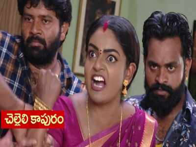 Premi Viswanath: వంటలక్క చక్కదిద్దిన చెల్లెలి కాపురం.. బాబోయ్.. సెటైర్లు మాములుగా లేవు..