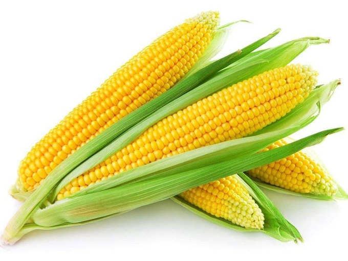 corn-1