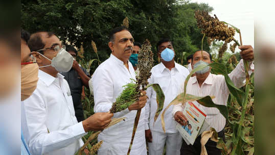 पावसाने सांगली जिल्ह्यातील १२३ गावांना फटका, ९ जणांचा मृत्यू