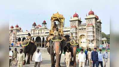 ಮೈಸೂರು ದಸರಾ: ಪಟ್ಟದ ಆನೆ, ಕುದುರೆಗೆ ಪೂಜೆ.. ಅಭಿಮನ್ಯುಗೆ ಮರದ ಅಂಬಾರಿ ತಾಲೀಮು