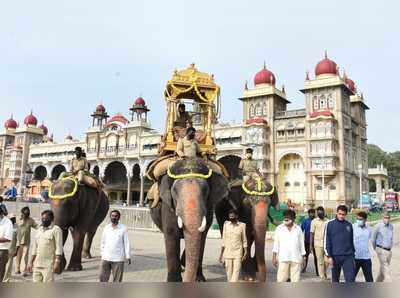 ಮೈಸೂರು ದಸರಾ: ಪಟ್ಟದ ಆನೆ, ಕುದುರೆಗೆ ಪೂಜೆ.. ಅಭಿಮನ್ಯುಗೆ ಮರದ ಅಂಬಾರಿ ತಾಲೀಮು