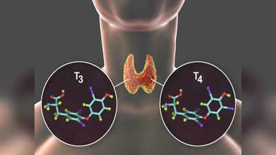 అయోడిన్ లోపం.. నిర్లక్ష్యం చేస్తే యమ డేంజర్! ఏం జరుగుతుందంటే.. 