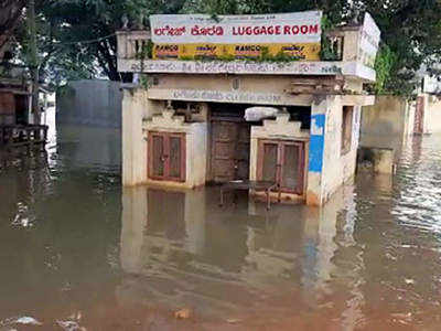 Flood Situation : कर्नाटक, तेलंगणात पूरस्थिती कायम