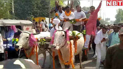 Bihar Election: समस्तीपुर में दिखा अनोखा अंदाज, कोई घोड़े पर तो कोई बैलगाड़ी पर सवार होकर नामांकन करने आए प्रत्याशी